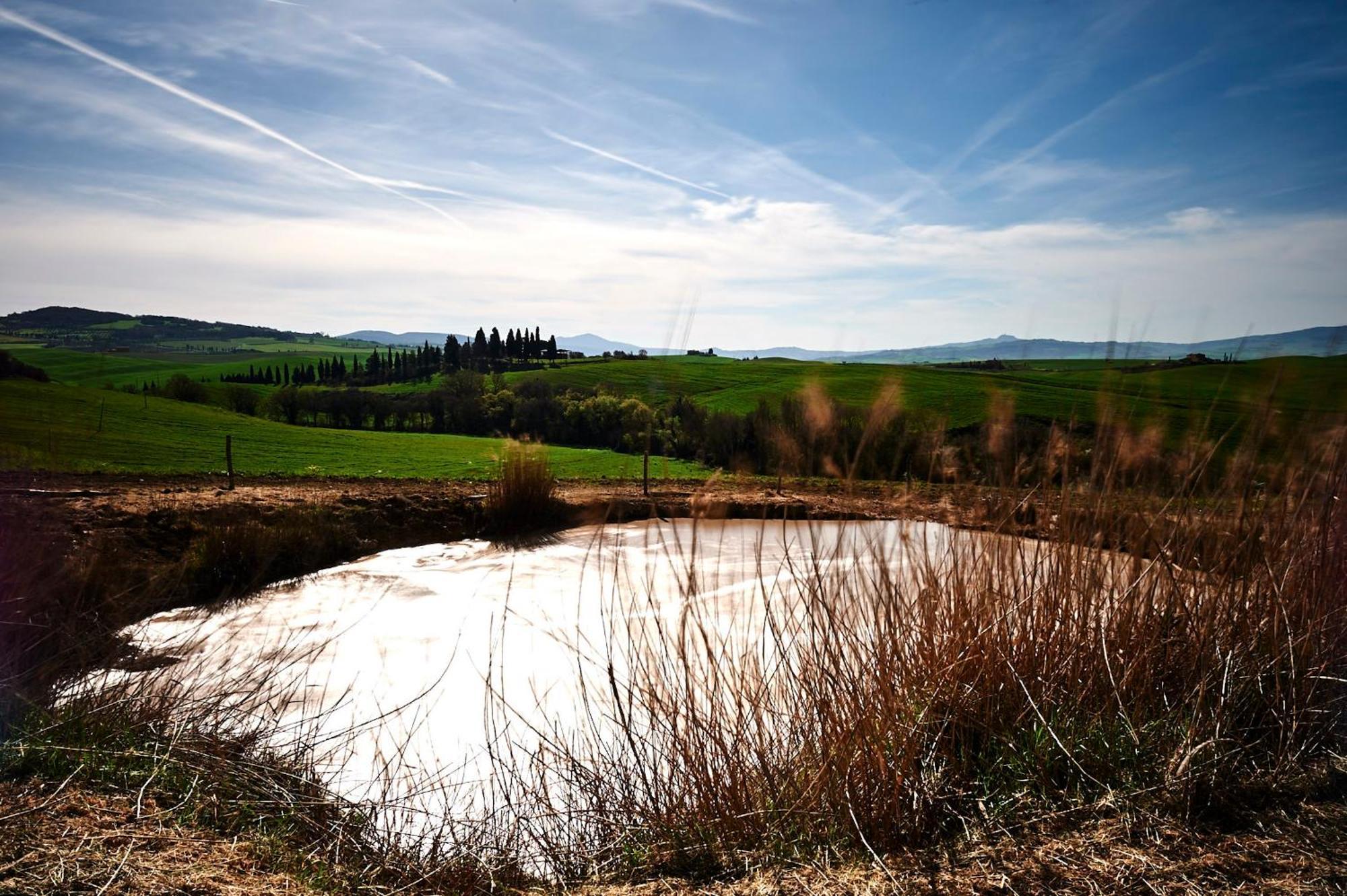 Agriturismo Il Casalino Pienza Eksteriør bilde