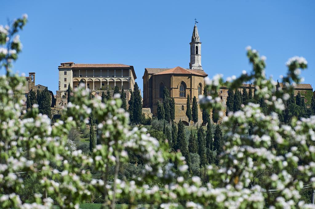 Agriturismo Il Casalino Pienza Eksteriør bilde