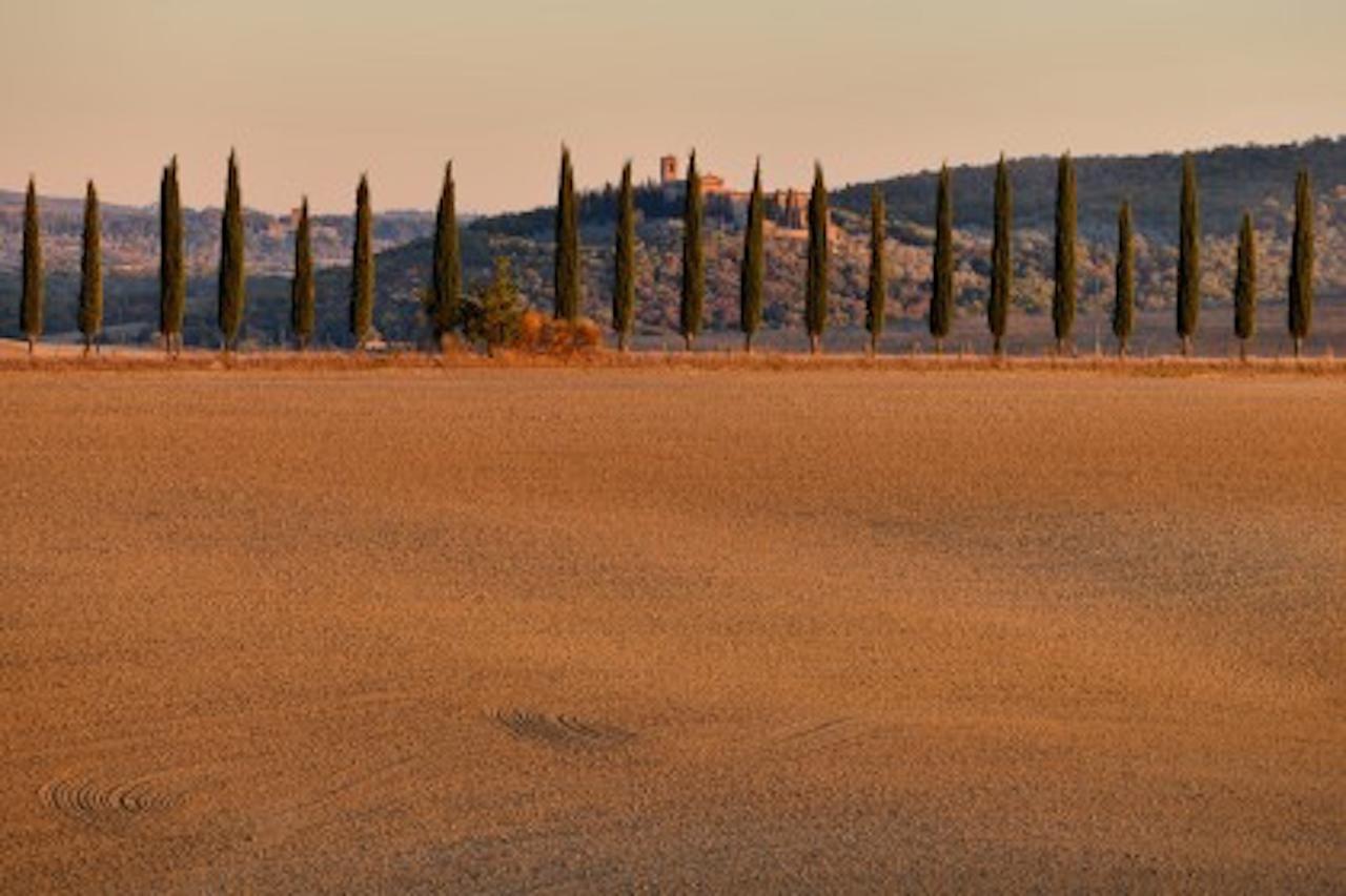 Agriturismo Il Casalino Pienza Eksteriør bilde